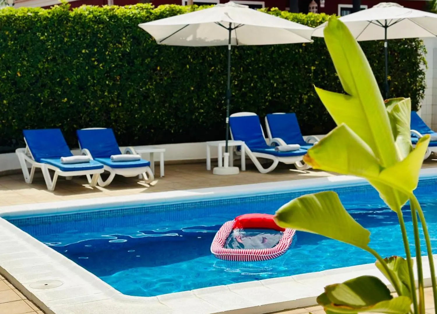 פוארטו דה סנטיאגו Beachfront Villa And Pool